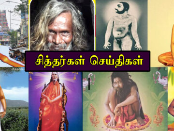 Siddhargal News www.siddhargalthiruvadi.com